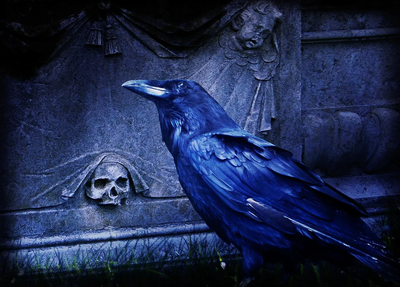 forum-banner
