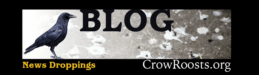 NEWS DROPPINGS